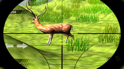 Animal Hunting Jungle Safari screenshot 3