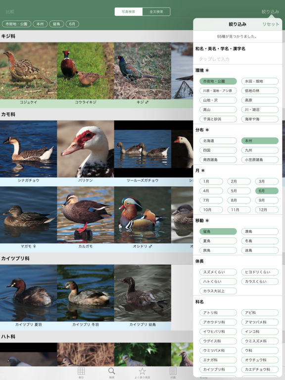 iPad Screenshot 3