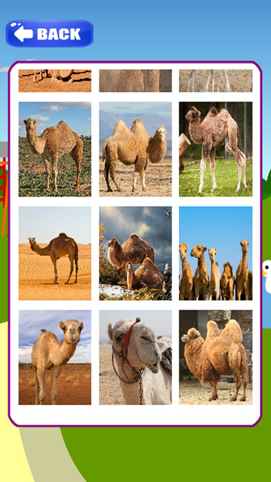 Kids Jigsaw Games Free Camel Puzzles Version screenshot 2