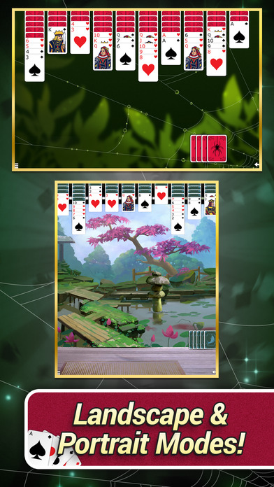 Spider Solitaire with Themes screenshot 3