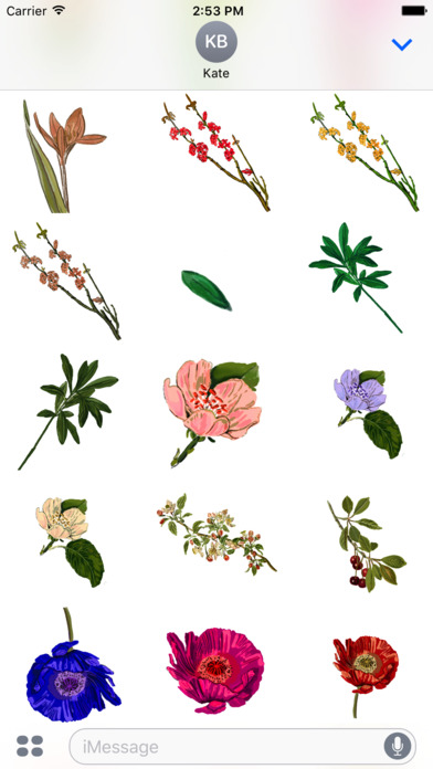 Botanical Flowers Stickers screenshot 3