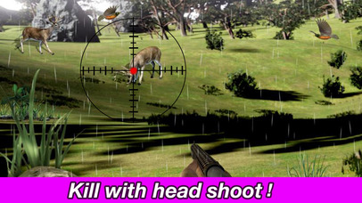 Deer Hunter Pro Challenge screenshot 4