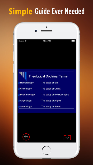 Theological Terms-Study Guide and Reference screenshot 2