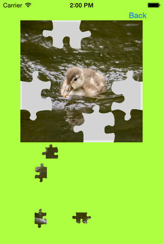 Ducklings, Goslings Jigsaw Puzzles screenshot 4