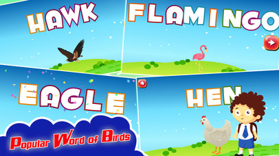 Kids Spelling Learning Birds - Phonics Words Free screenshot 3