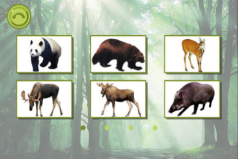 宝贝计划® - 宝宝识森林动物 - 幼儿园启蒙教育识图卡 screenshot 2