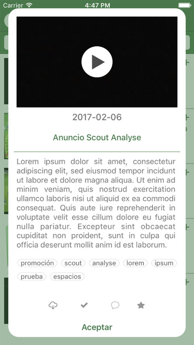 Scout Analyse screenshot 2