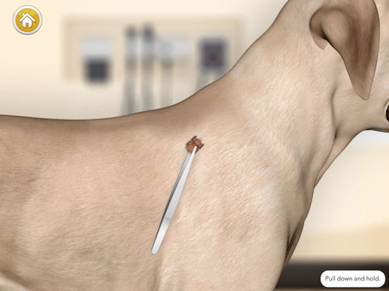 Screenshots of Pet Vet Doctor - DOGS Rescue for iPad