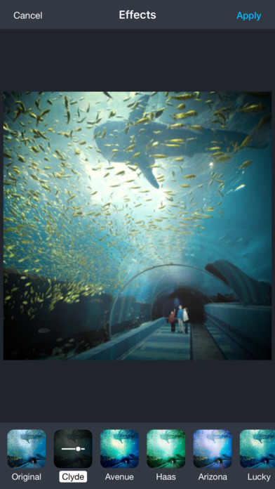 Aquarium Live Wallpaper | Nature coral ocean scene screenshot 4