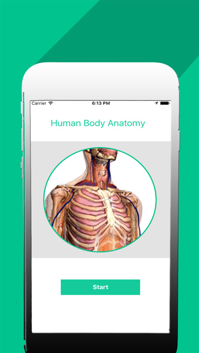 Organs of human body screenshot 2