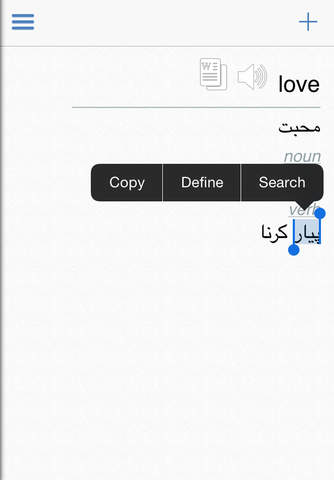 Urdu Dictionary + screenshot 3