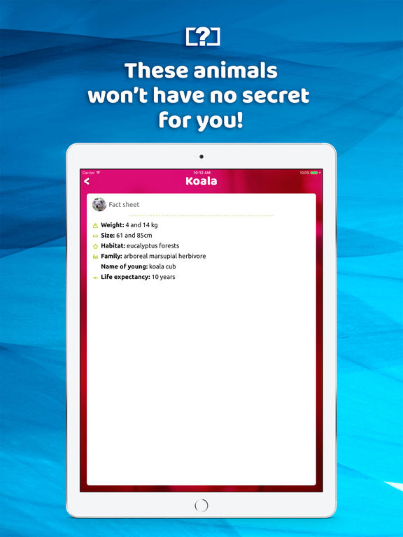 iPad Screenshot 4