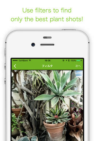 GreenSnap - 植物・花の名前が判る写真共有アプリ screenshot 4