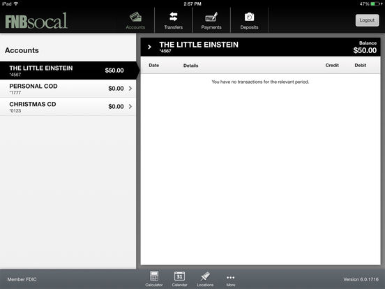 iPad Screenshot 2