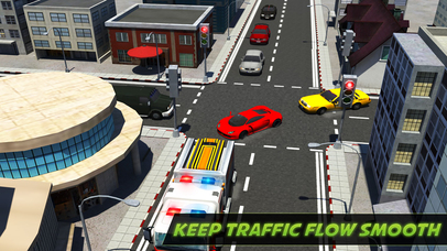 City Traffic Control Rush Hour Driving 3D Sim: PRO screenshot 2