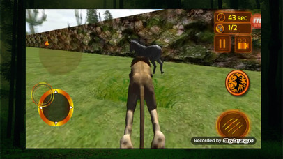 Real Lion Hunt Simulator screenshot 3