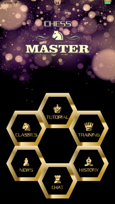 Chess-Master screenshot 4