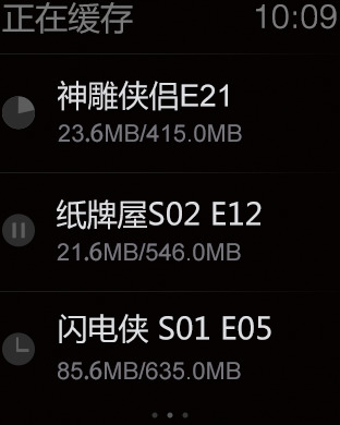 iPhone Screenshot 3