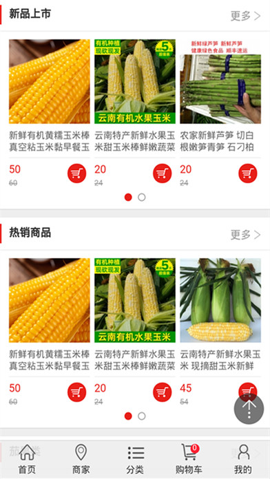 中国蔬菜网 screenshot 4