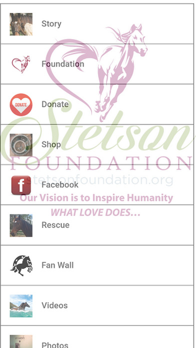 Stetson Foundation screenshot 2
