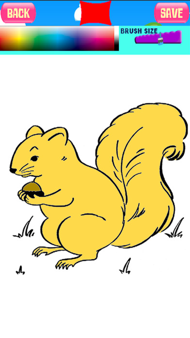 Squirrel Coloring Drawing Book Games For Kids screenshot 2