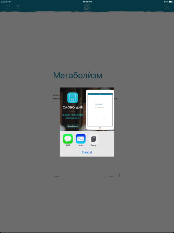 iPad Screenshot 3