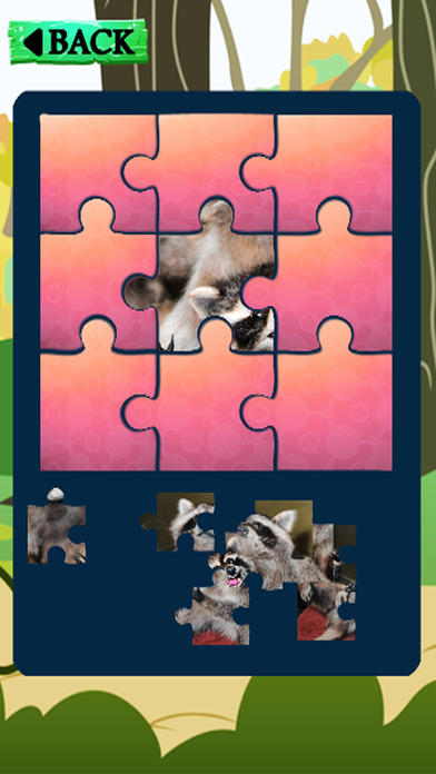 Jigsaw Learning Games Puzzle Raccoons Version screenshot 3