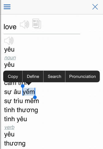 Vietnamese Dictionary + screenshot 3