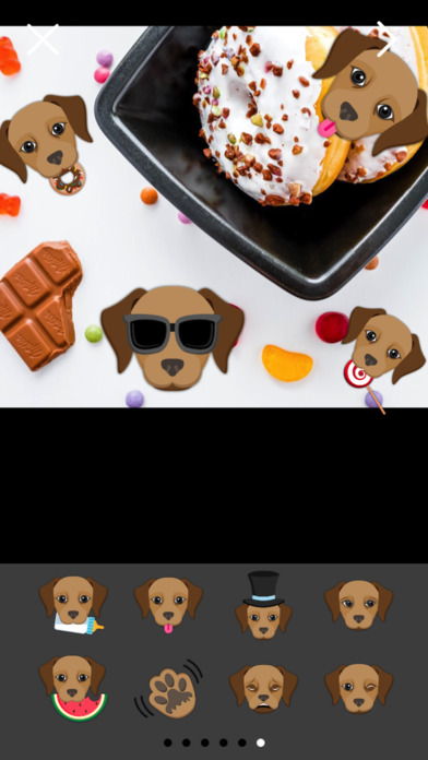 Chocolate Labrador Photo Booth screenshot 3