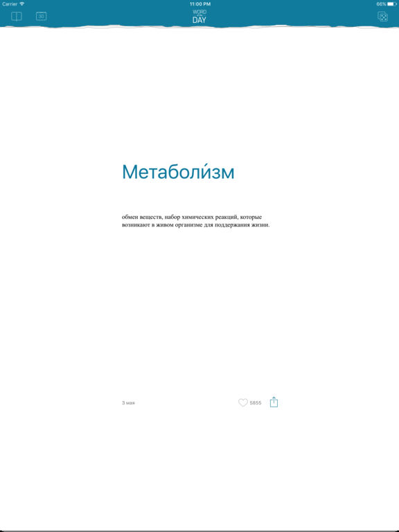 iPad Screenshot 1