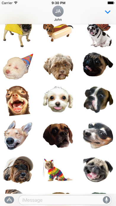 Dog Face - Funny Dog Memes and Faces screenshot 3