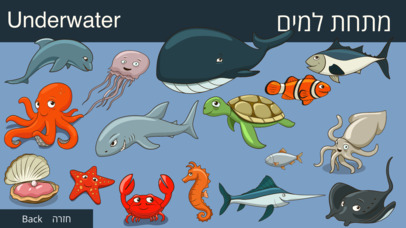 My Hebrew Tutor Animals screenshot 4