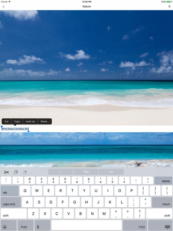 iPad Screenshot 2
