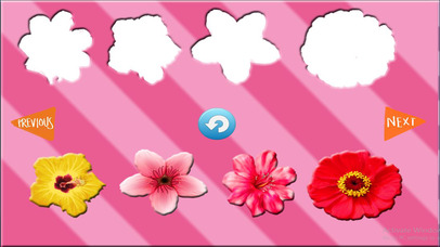 Fun Learning Flower Shapes Sorting game for kids screenshot 2