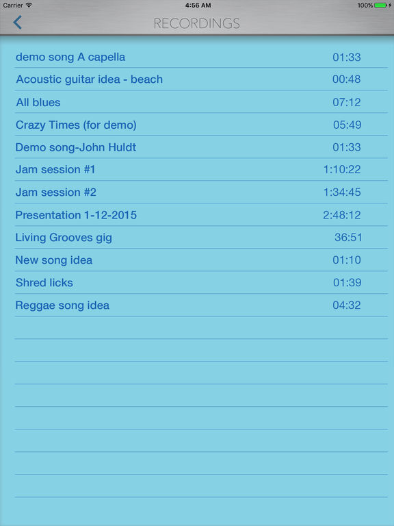iPad Screenshot 4