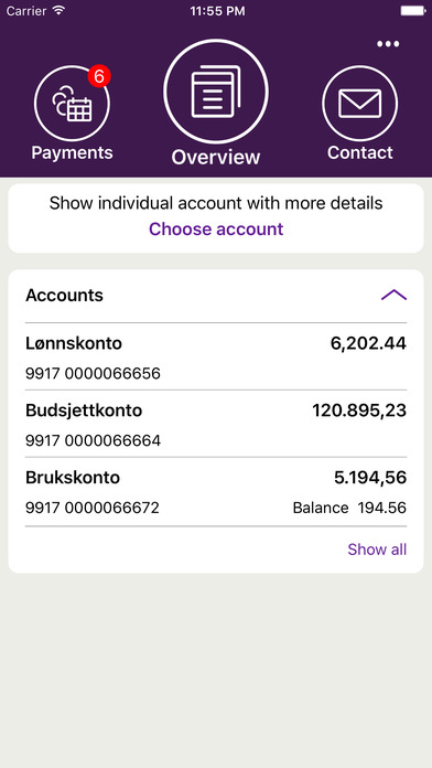 iPhone Screenshot 2