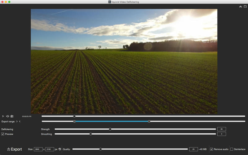 liquivid_Video_Deflickering.app caprure 1 1_liquivid_Video_Deflickering.jpg