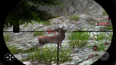 Forest Safari Deer Hunting pro screenshot 2
