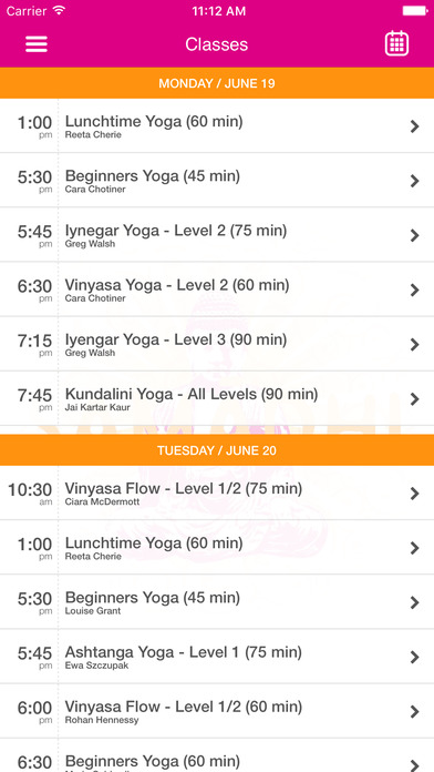 Samadhi Yoga Dublin screenshot 3