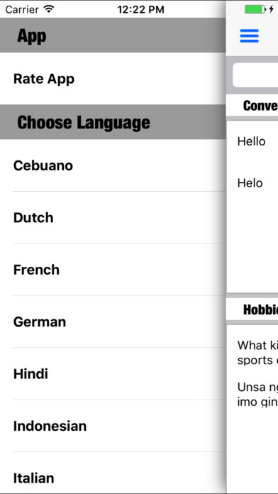 Foreign Language Phrases screenshot 2