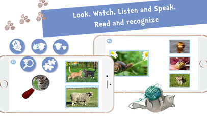 Sami Tiny FlashCards Animals 6 languages kids apps screenshot 4