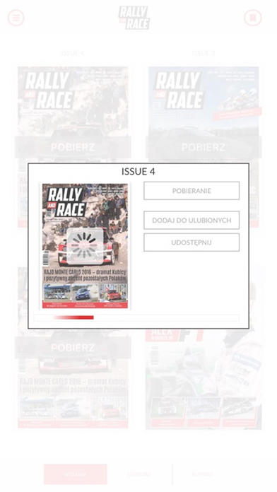 Rally And Race screenshot 2