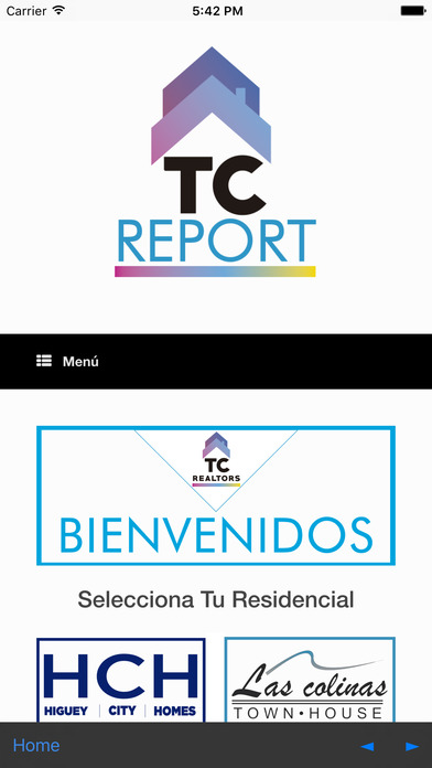 TC Report screenshot 4