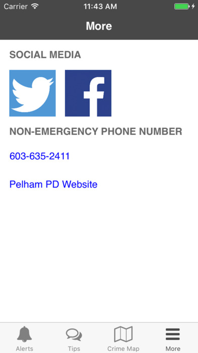 Pelham PD screenshot 3
