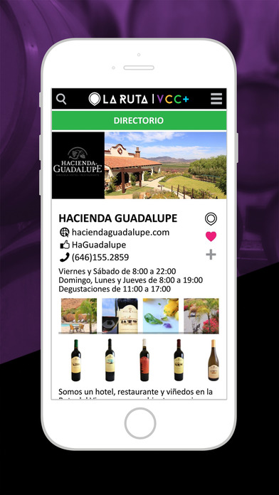 iPhone Screenshot 3
