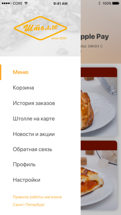 iPhone Screenshot 4