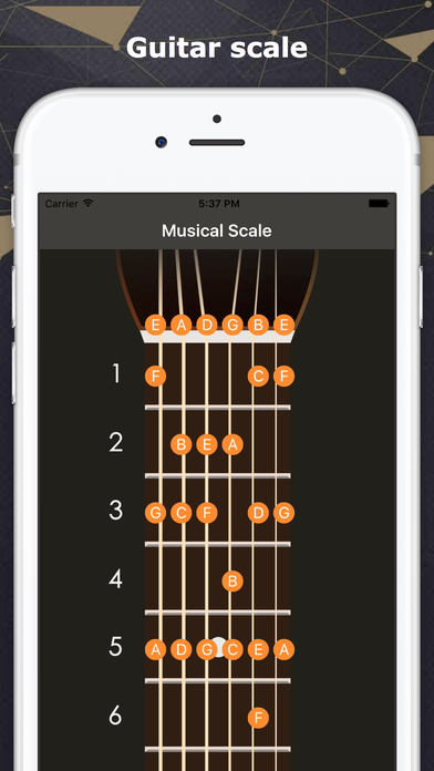Pocket chord - Guitar Chords & Scale screenshot 4