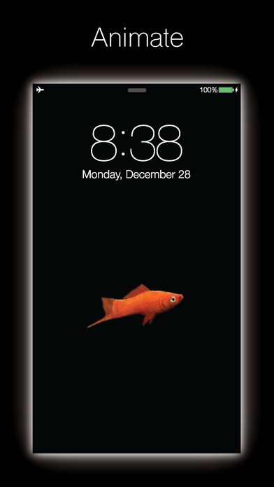 Live Fish - Live Wallpapers for Fish with Black BG screenshot 4