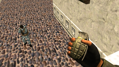 Counter Terrorist Range Combat screenshot 3