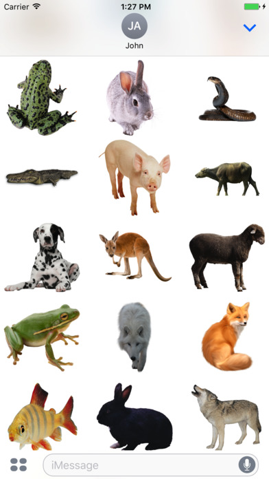 Real Animals Stickers Pack screenshot 2